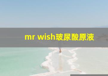 mr wish玻尿酸原液